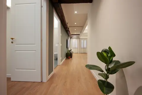 Pasillo luminoso con puertas blancas y una planta
