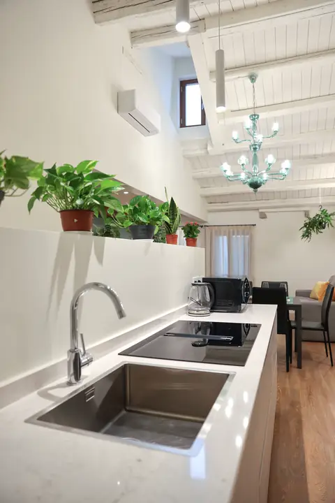 Cocina con fregadero, placa de inducción y plantas bajo las vigas